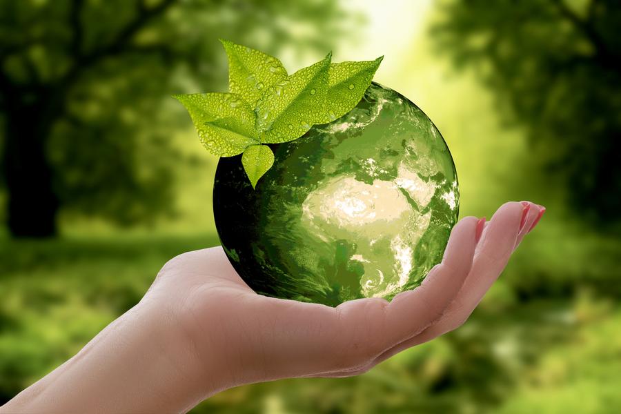 5 Easy Ways to Go Green!